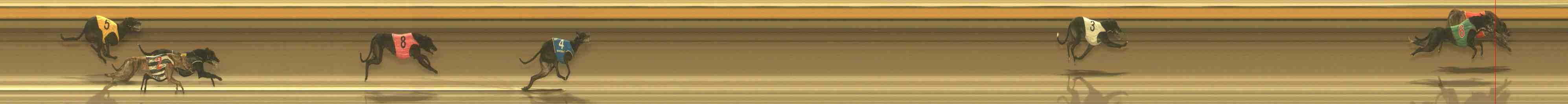 Race result finish photo